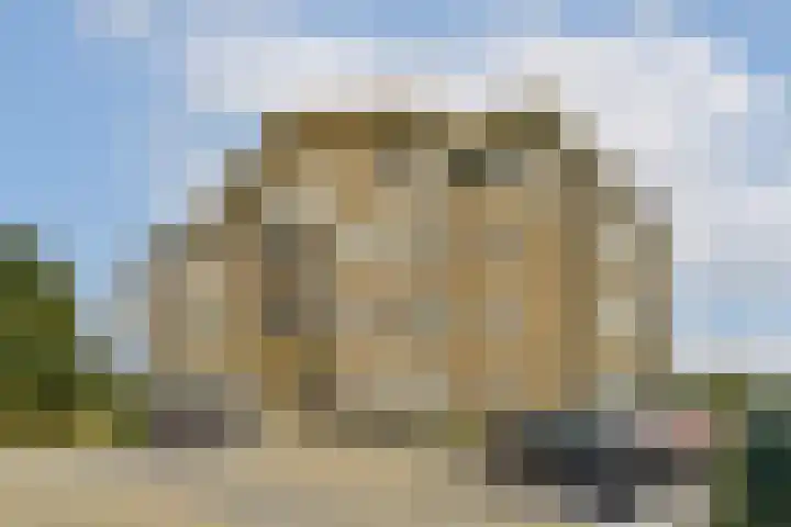 Uiterwaard 31 Moordrecht thumbnail 6