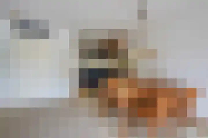 Uiterwaard 34 Zoetermeer thumbnail 17