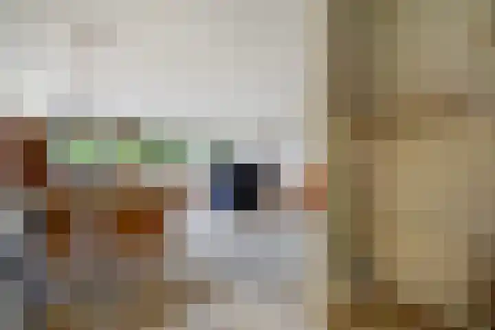 Uiterwaard 34 Zoetermeer thumbnail 22