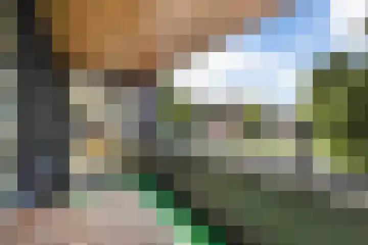 Uiterwaard 34 Zoetermeer thumbnail 24