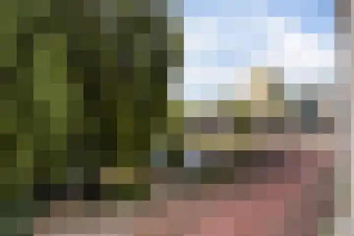 Uiterwaard 34 Zoetermeer thumbnail 26