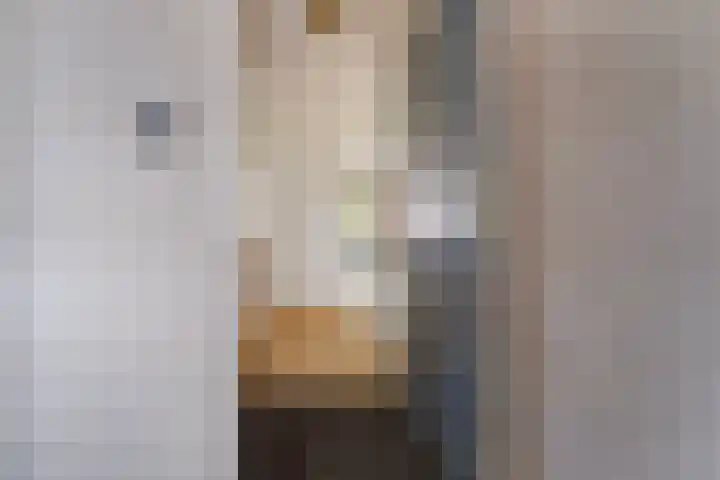 Uiterwaard 34 Zoetermeer thumbnail 9