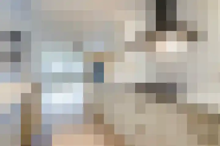 Uiterwaard 52 Zoetermeer thumbnail 21