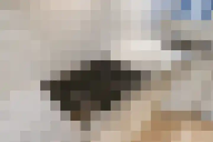 Uiterwaard 52 Zoetermeer thumbnail 24