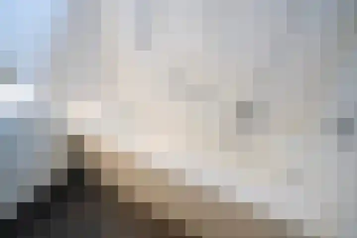 Uiterwaard 52 Zoetermeer thumbnail 37