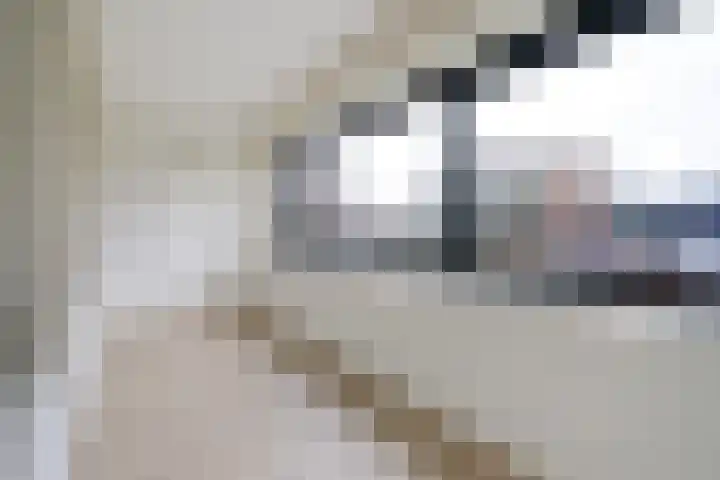 Uiterwaard 52 Zoetermeer thumbnail 4
