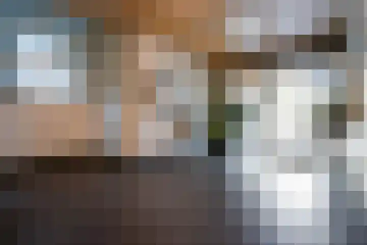 Uiterwaard 52 Zoetermeer thumbnail 7