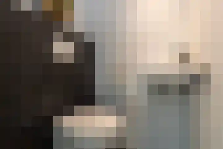 Uiterwaard 6 Lopik thumbnail 20