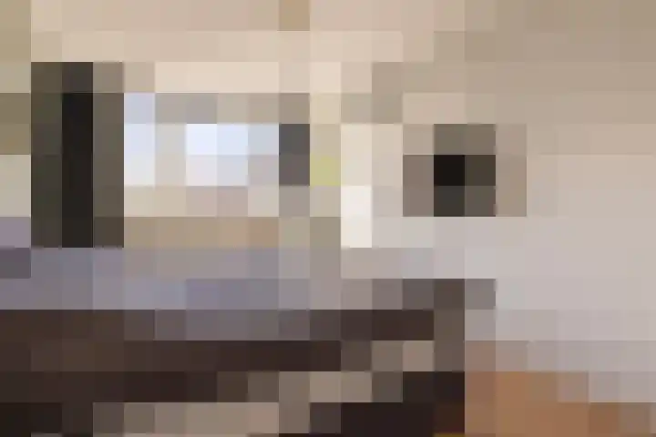 Uiterwaard 6 Lopik thumbnail 24
