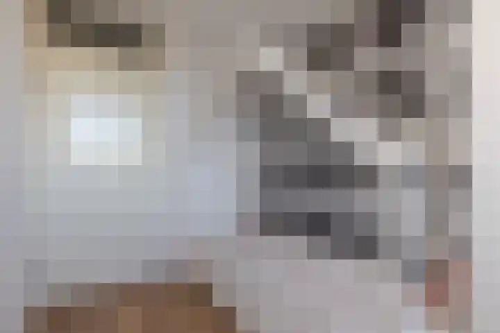 Uiterwaard 6 Lopik thumbnail 33