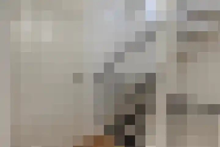 Uiterwaard 6 Lopik thumbnail 36