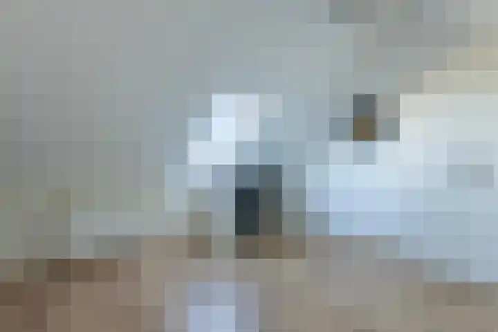 Uiterwaard 6 Lopik thumbnail 37