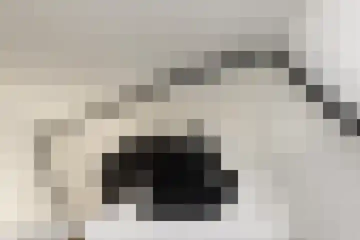 Uiterwaard 6 Lopik thumbnail 40