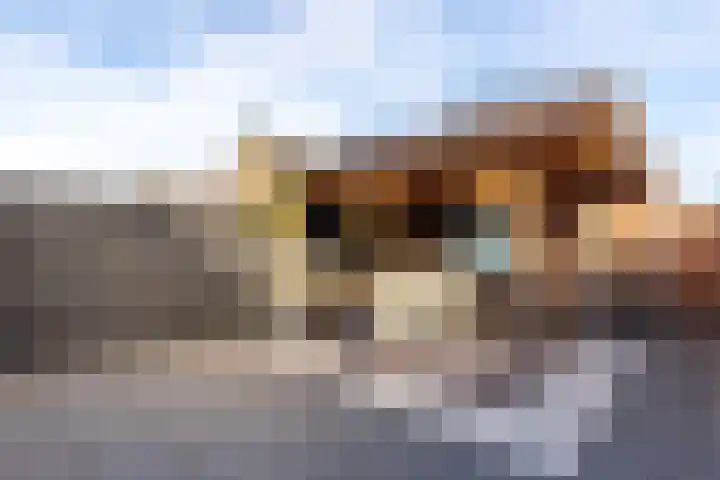 Uiterwaard 6 Lopik thumbnail 42