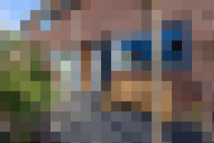 Uiterwaard 6 Lopik thumbnail 46