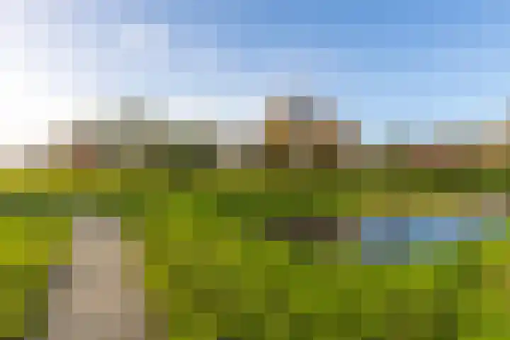 Uiterwaard 6 Lopik thumbnail 49