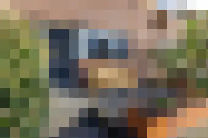 Uiterwaard 6 Lopik thumbnail 6