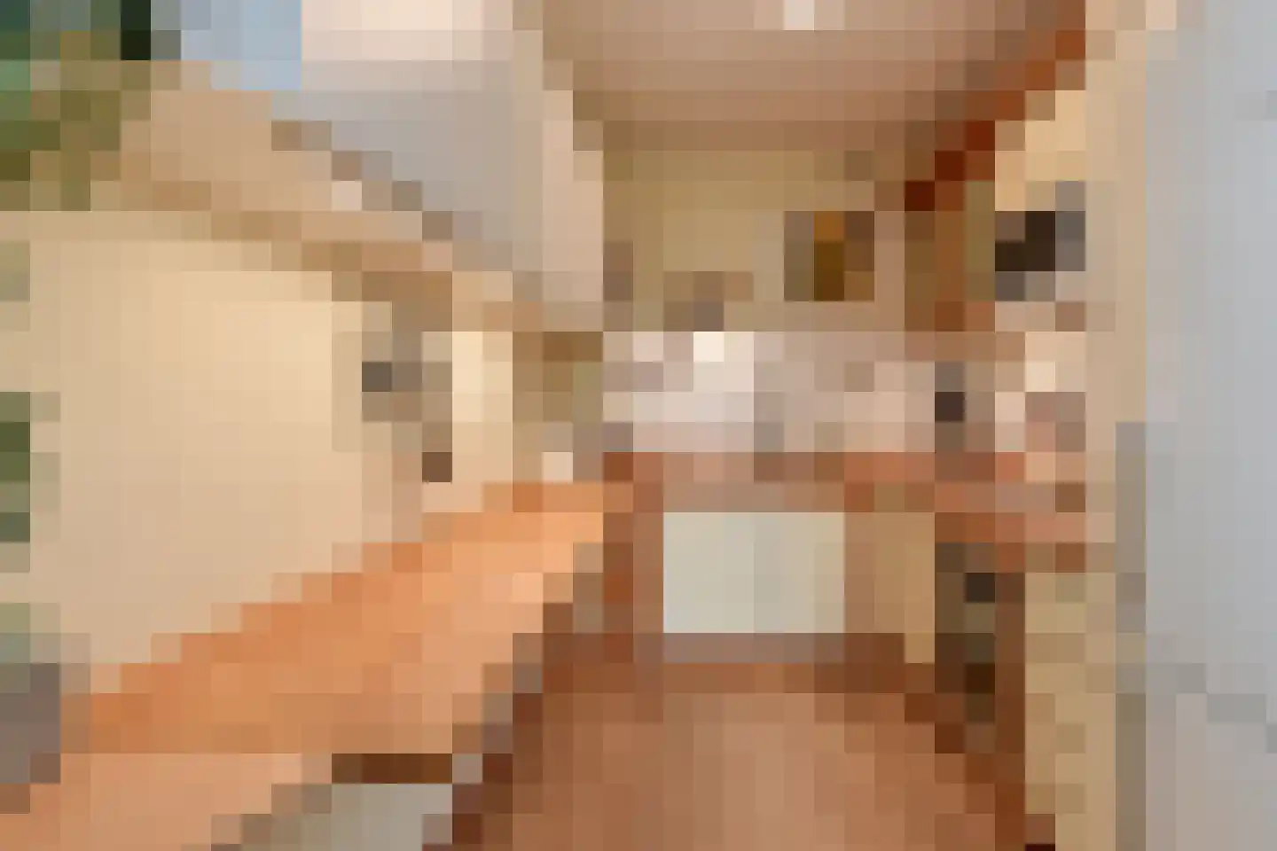 Uiterwaard 68 Zoetermeer thumbnail 16