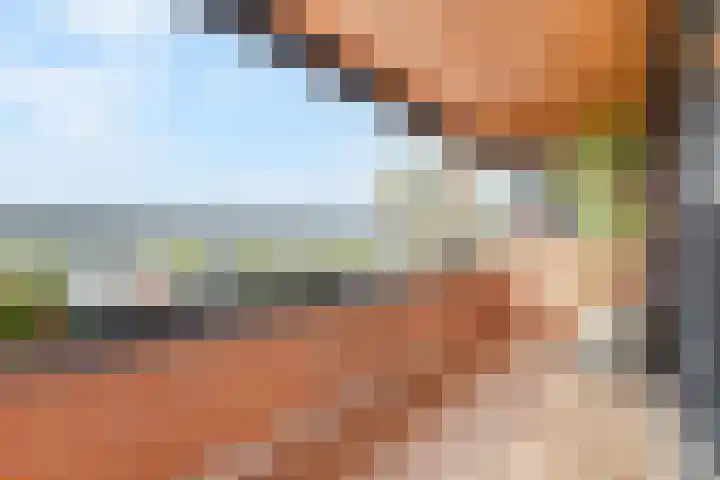 Uiterwaard 68 Zoetermeer thumbnail 19