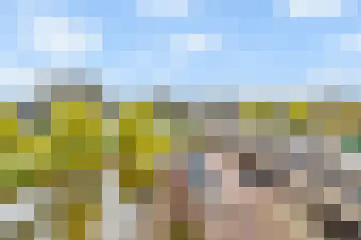 Uiterwaard 68 Zoetermeer thumbnail 21