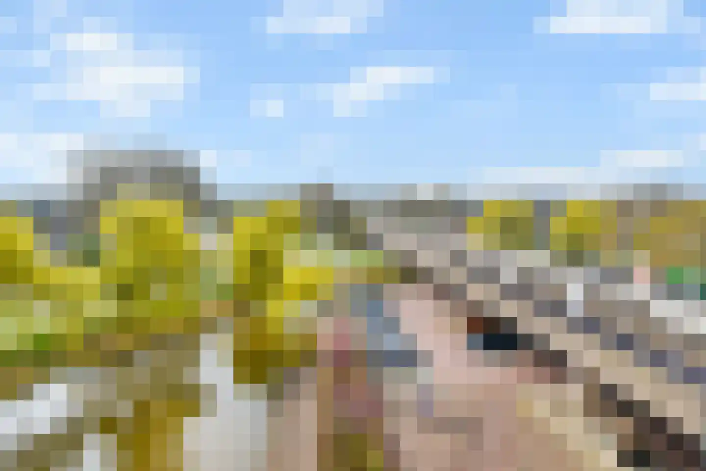 Uiterwaard 68 Zoetermeer thumbnail 21