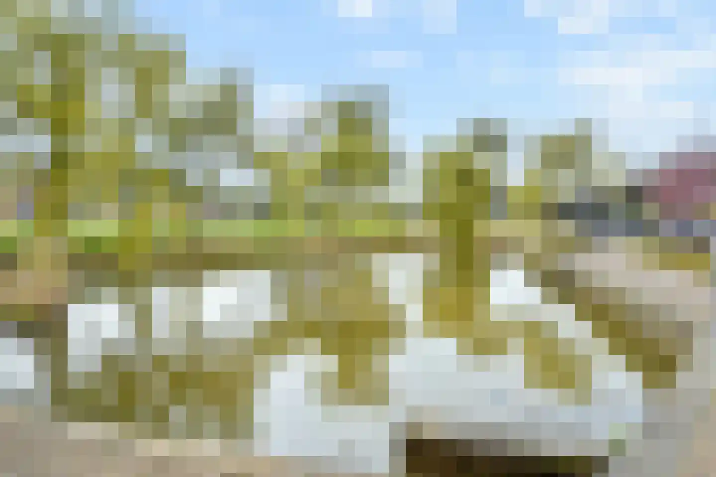Uiterwaard 68 Zoetermeer thumbnail 34