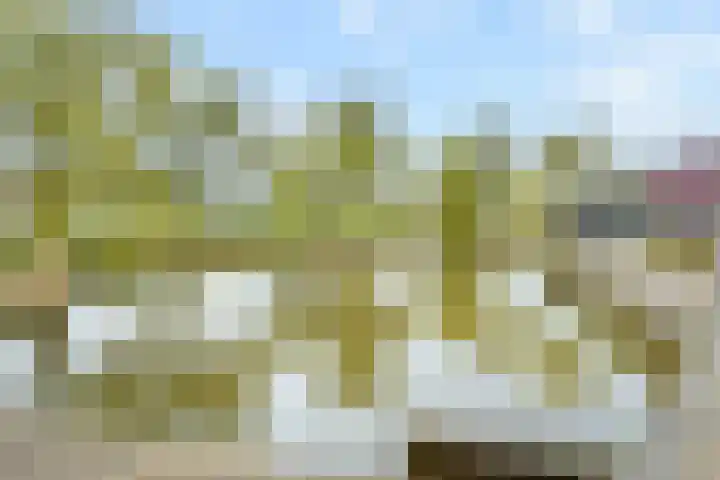 Uiterwaard 68 Zoetermeer thumbnail 34