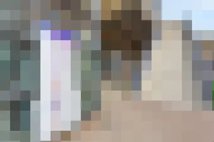 Uiterwaard 68 Zoetermeer thumbnail 36