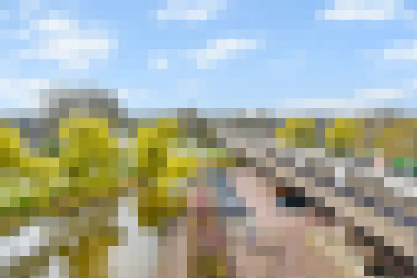 Uiterwaard 68 Zoetermeer thumbnail 4