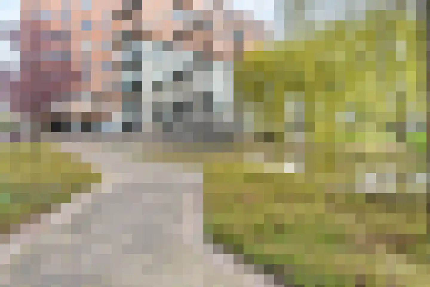 Uiterwaard 68 Zoetermeer thumbnail 5