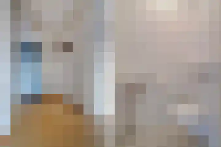 Uiterwaard 76 Zoetermeer thumbnail 13