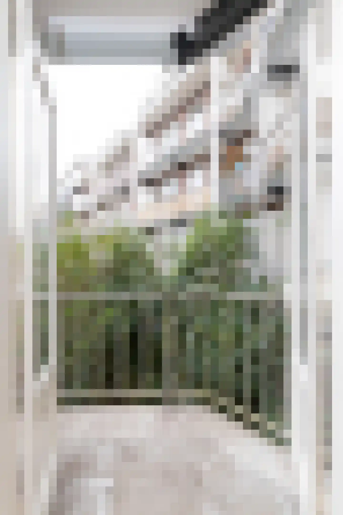 Uiterwaardenstraat 222 2 Amsterdam thumbnail 27