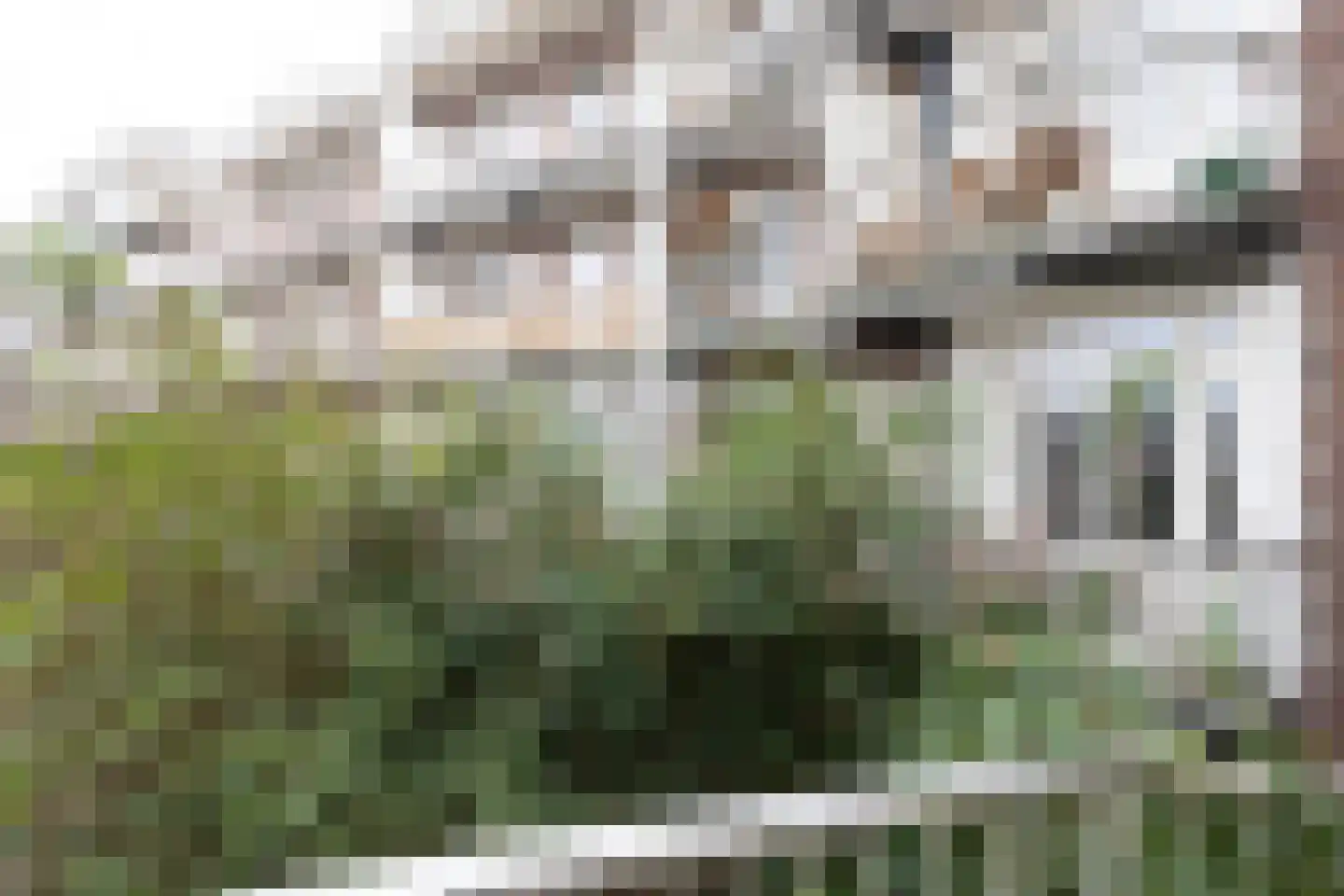 Uiterwaardenstraat 222 2 Amsterdam thumbnail 28