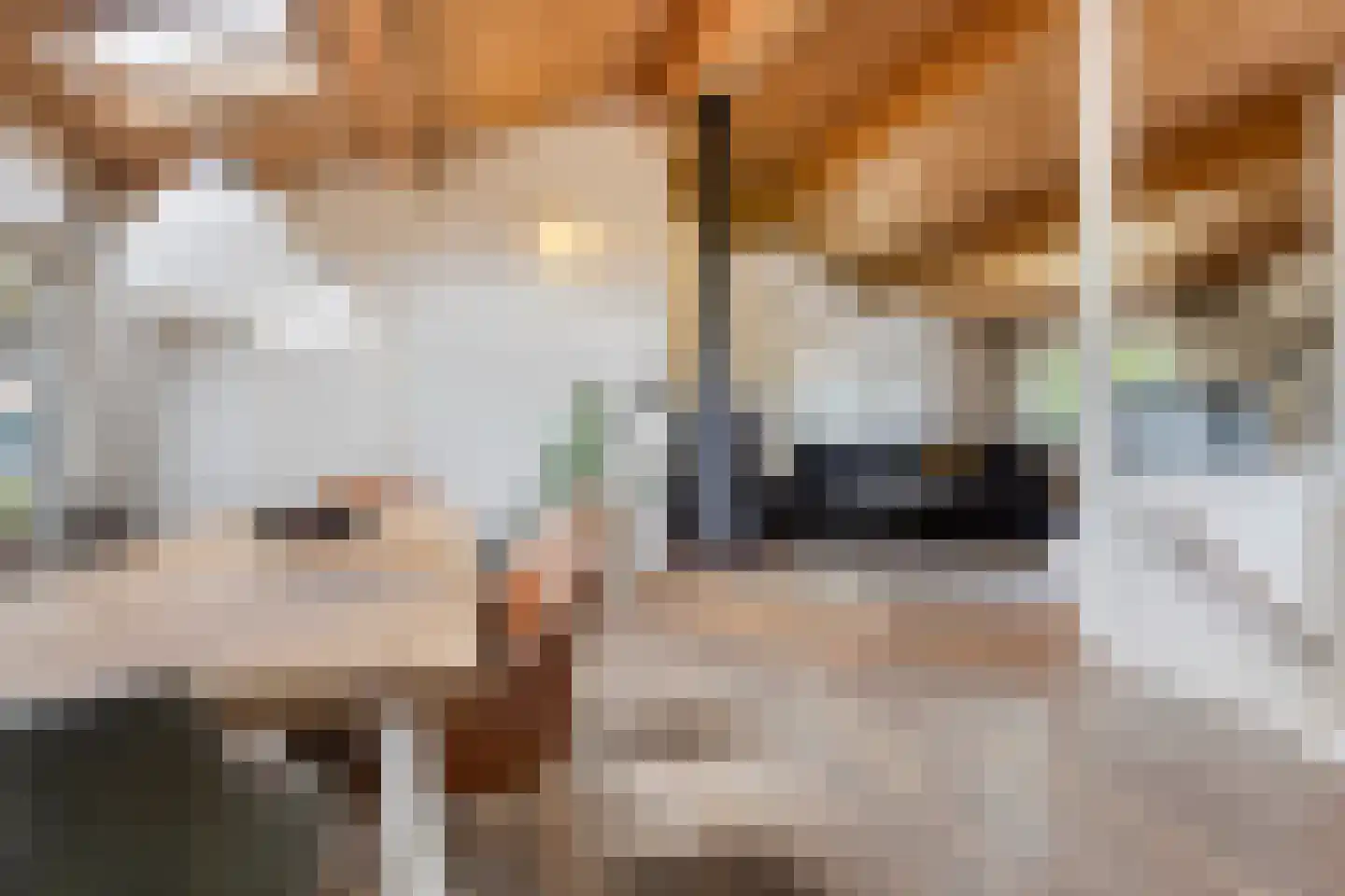 Uiterwaardenstraat 32 A Elburg thumbnail 22
