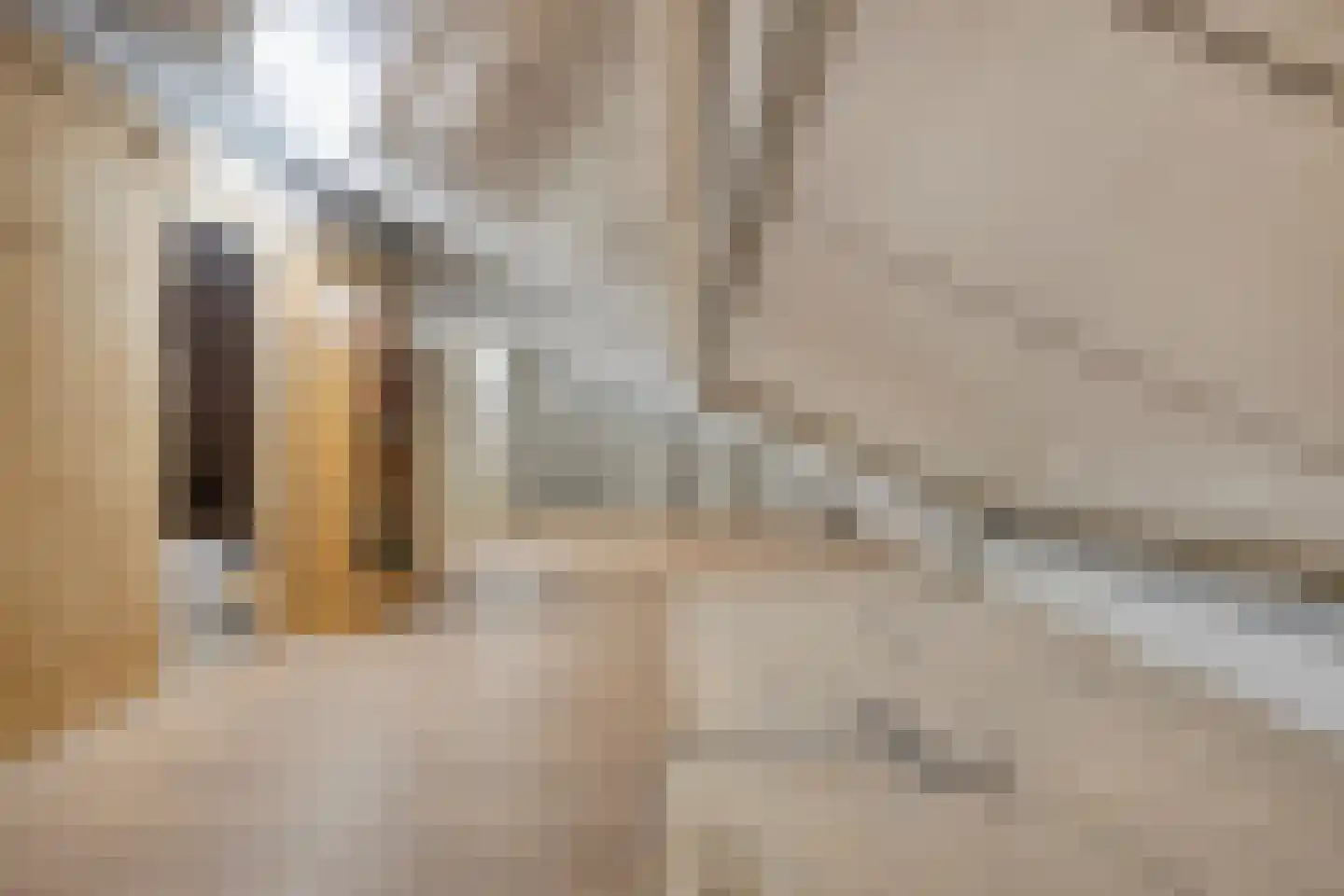 Uiterwaardenstraat 32 A Elburg thumbnail 52