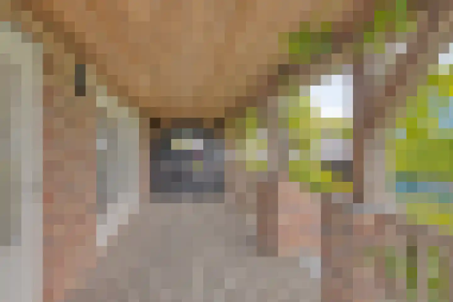 Uiterwaardenstraat 32 A Elburg thumbnail 9