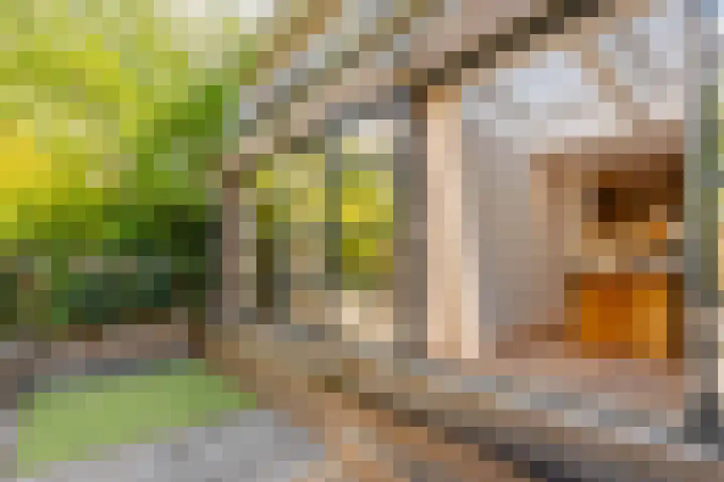 Uiterwaardenstraat 352 Amsterdam thumbnail 12
