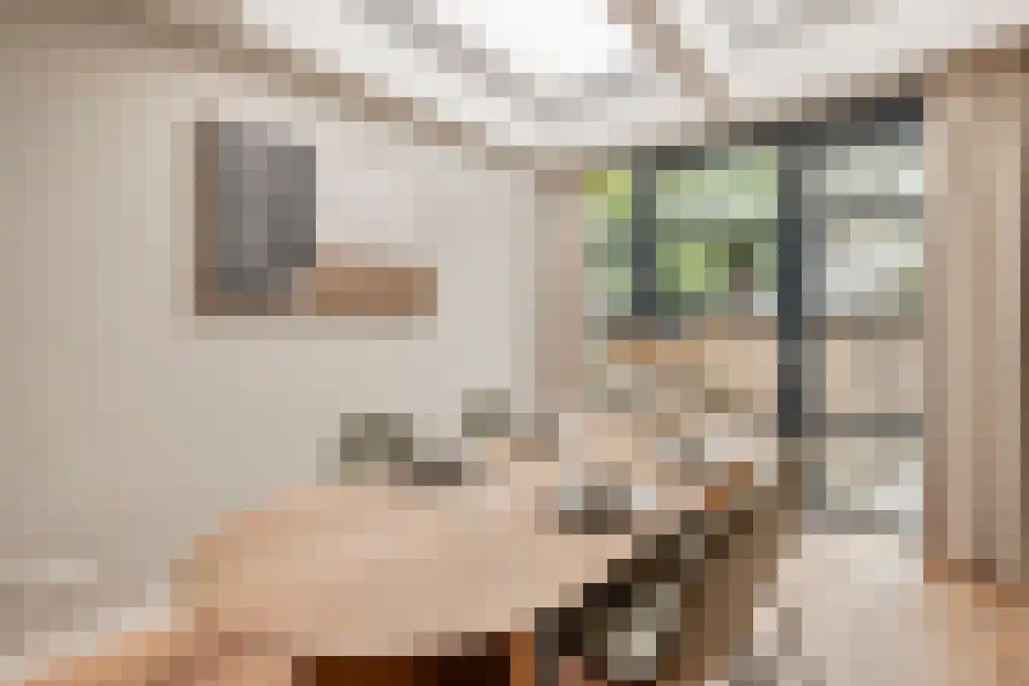 Uiterwaardenstraat 352 Amsterdam thumbnail 13