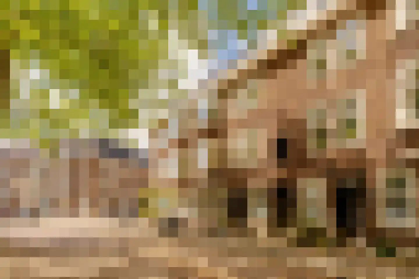 Uiterwaardenstraat 352 Amsterdam thumbnail 26