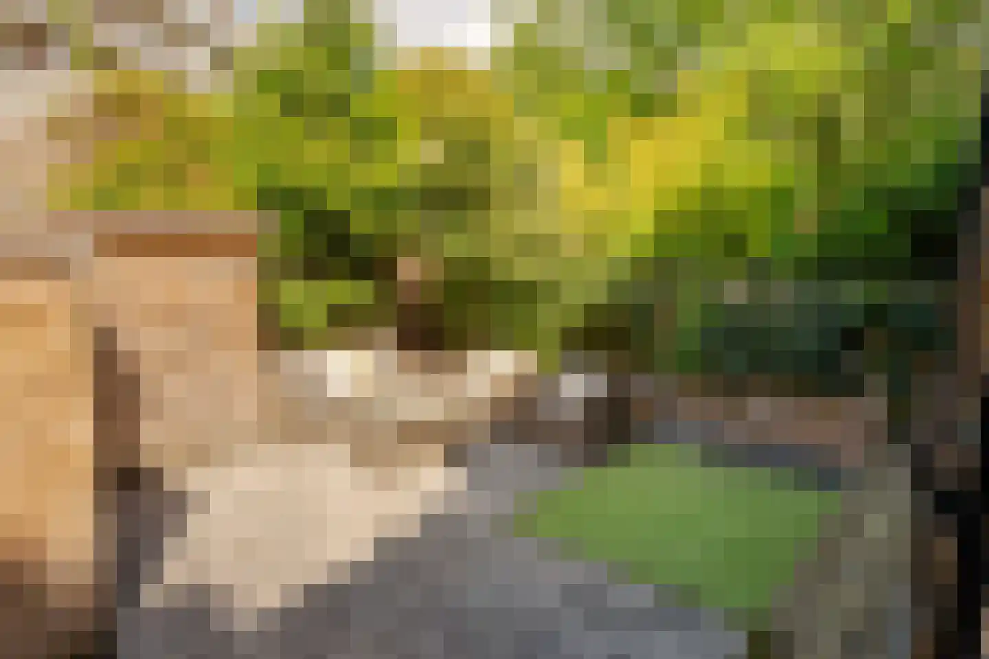 Uiterwaardenstraat 352 Amsterdam thumbnail 4
