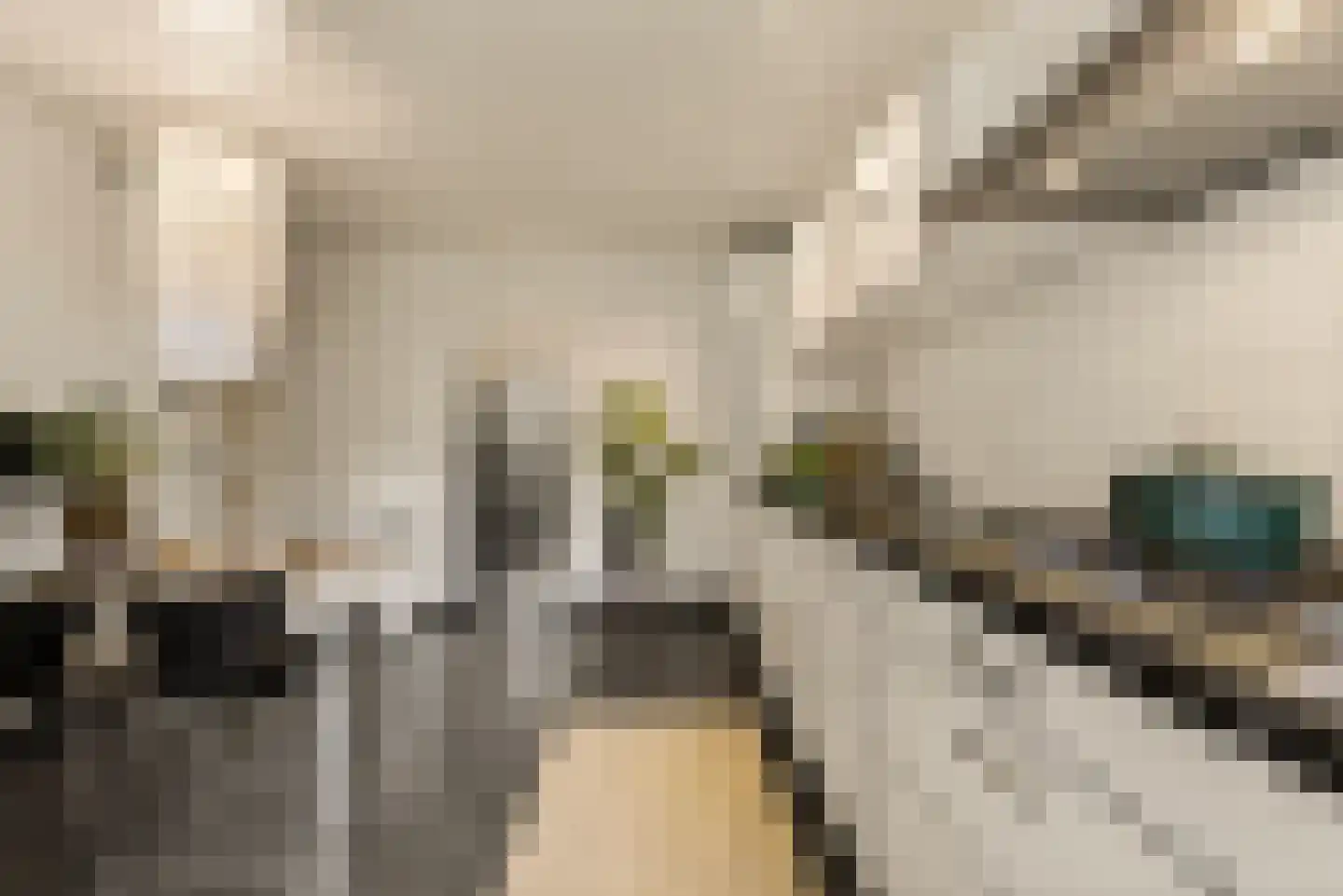 Uiterwaardenstraat 4 3 Amsterdam thumbnail 21