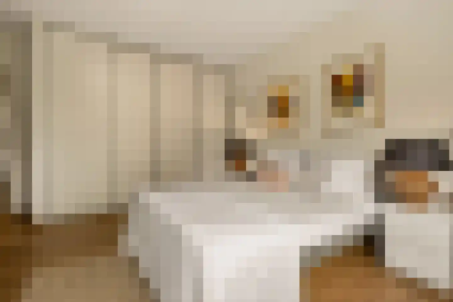 Uiterwaardenstraat 4 3 Amsterdam thumbnail 5
