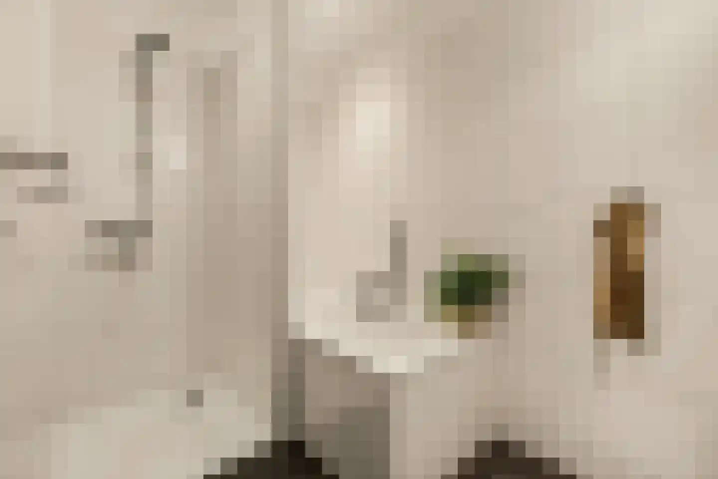 Uiterwaardenstraat 4 3 Amsterdam thumbnail 7