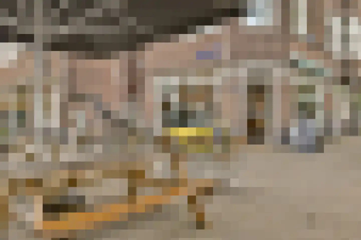 Uiterwaardenstraat 47 2 Amsterdam thumbnail 18
