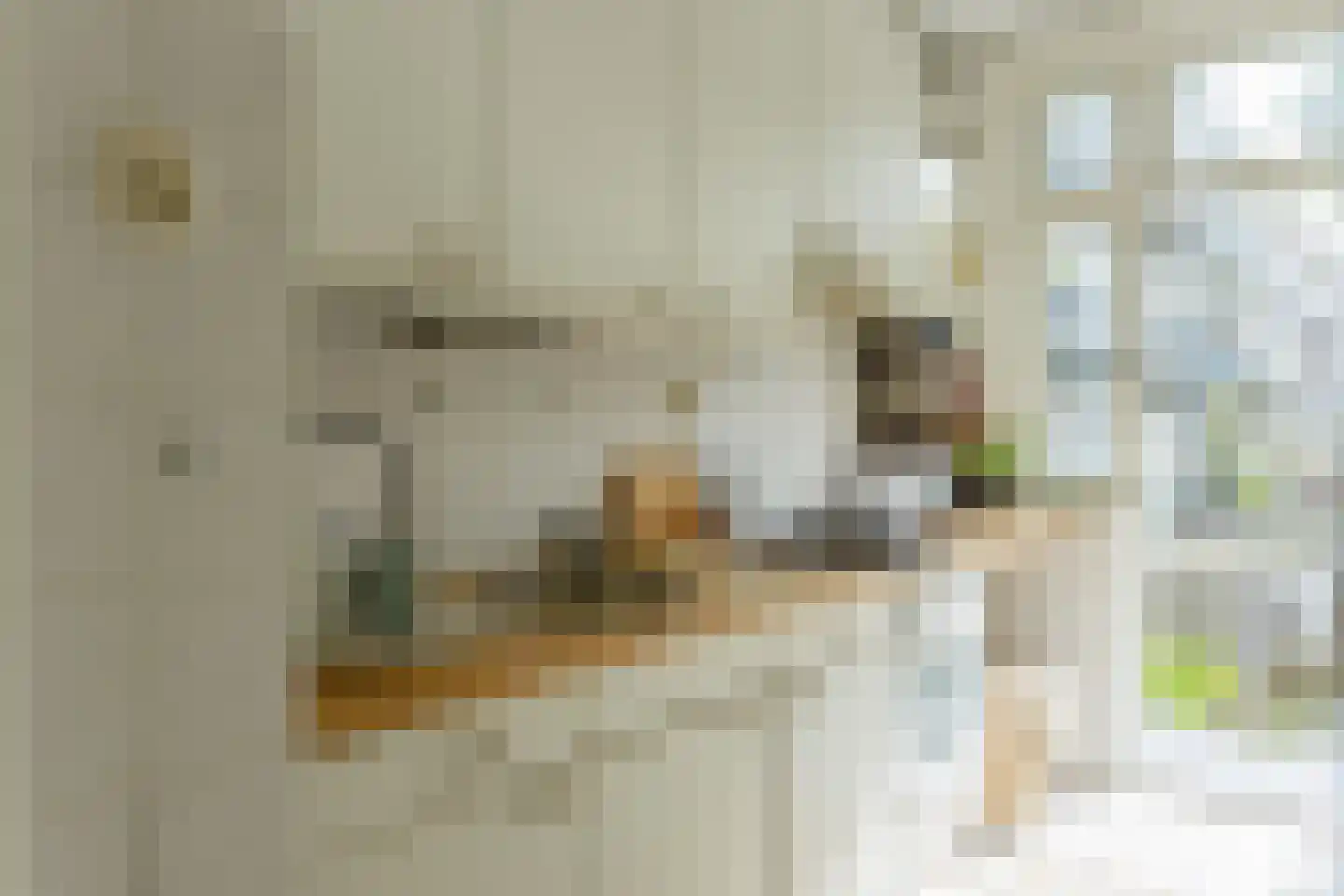 Uiterwaardenstraat 85 1 Amsterdam thumbnail 16