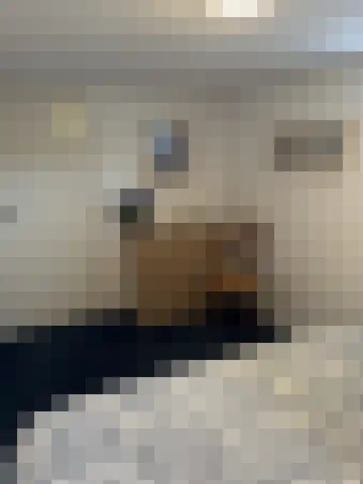 Uiterweg 27 ws32 Aalsmeer thumbnail 20