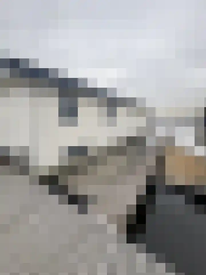 Uiterweg 27 ws32 Aalsmeer thumbnail 4