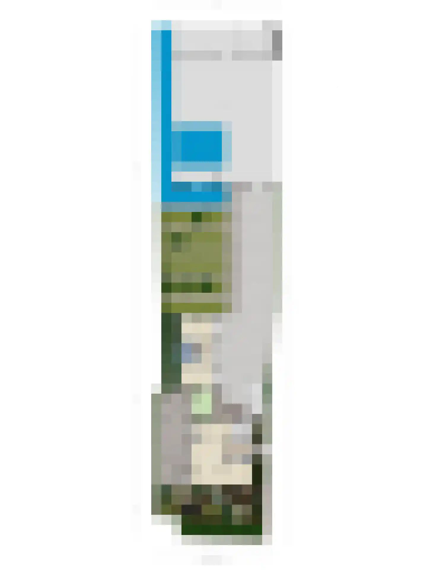 Uiterweg 272 Aalsmeer thumbnail 35