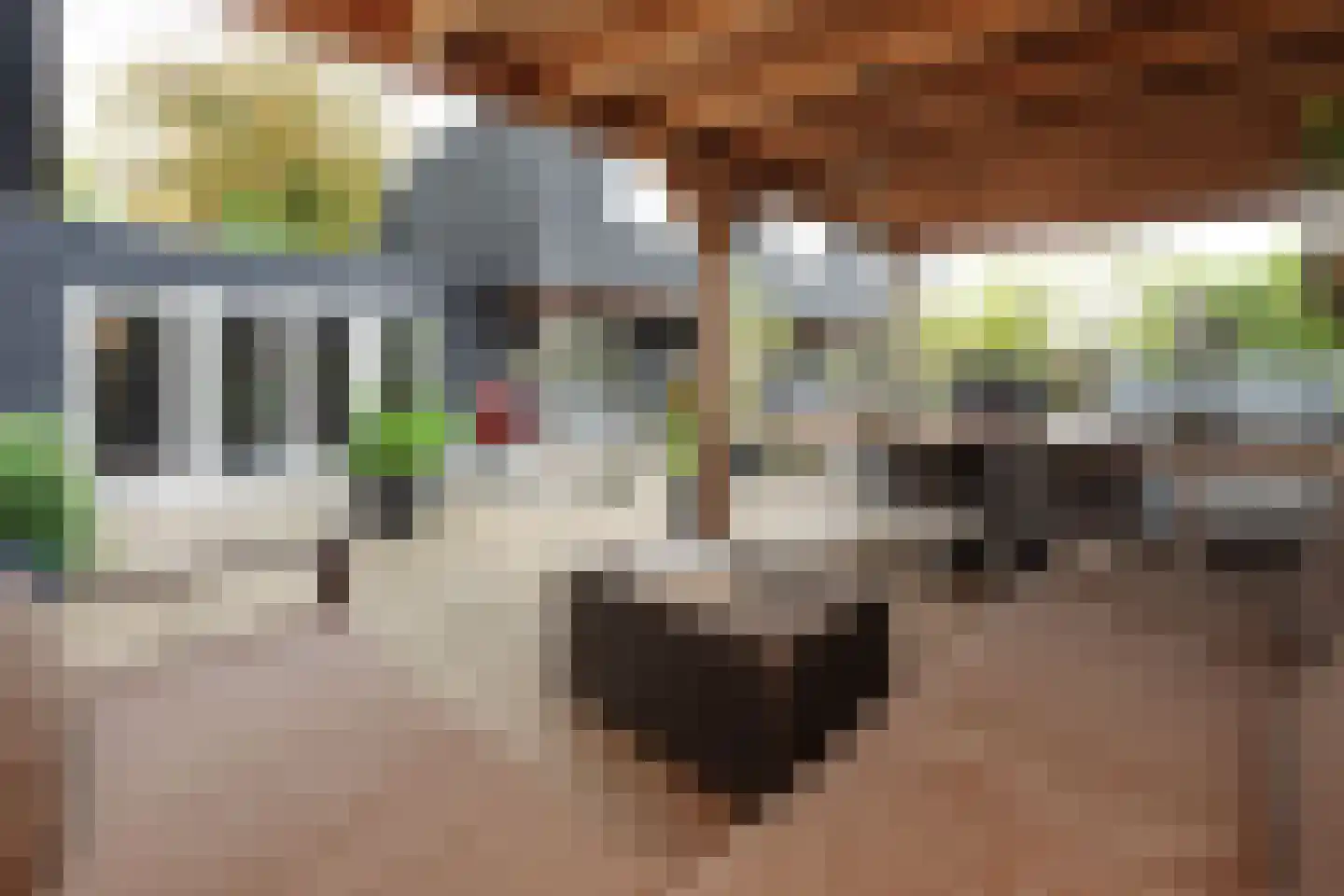 Uiterweg 272 Aalsmeer thumbnail 5