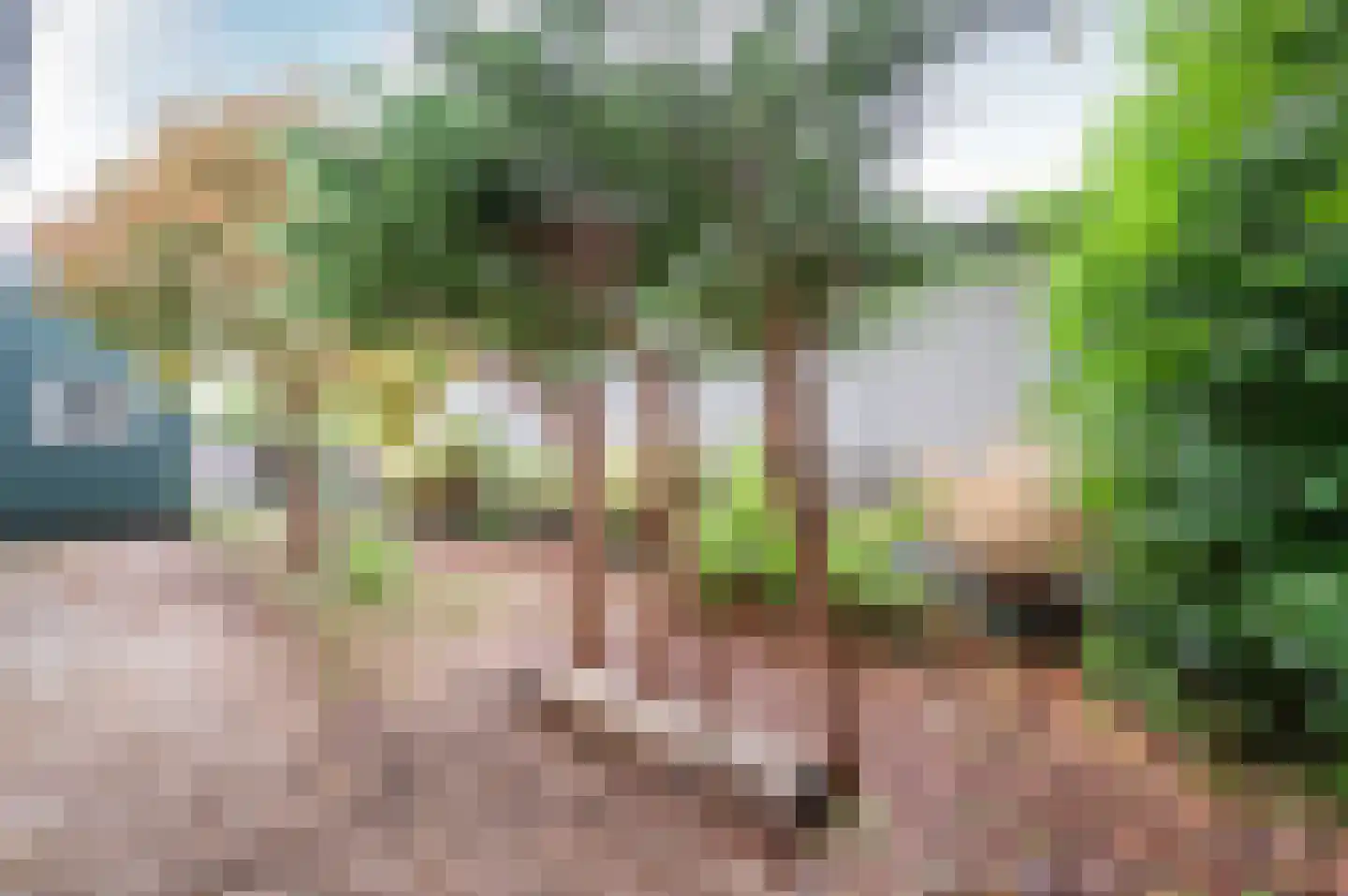 Uiterweg 274 Aalsmeer thumbnail 12